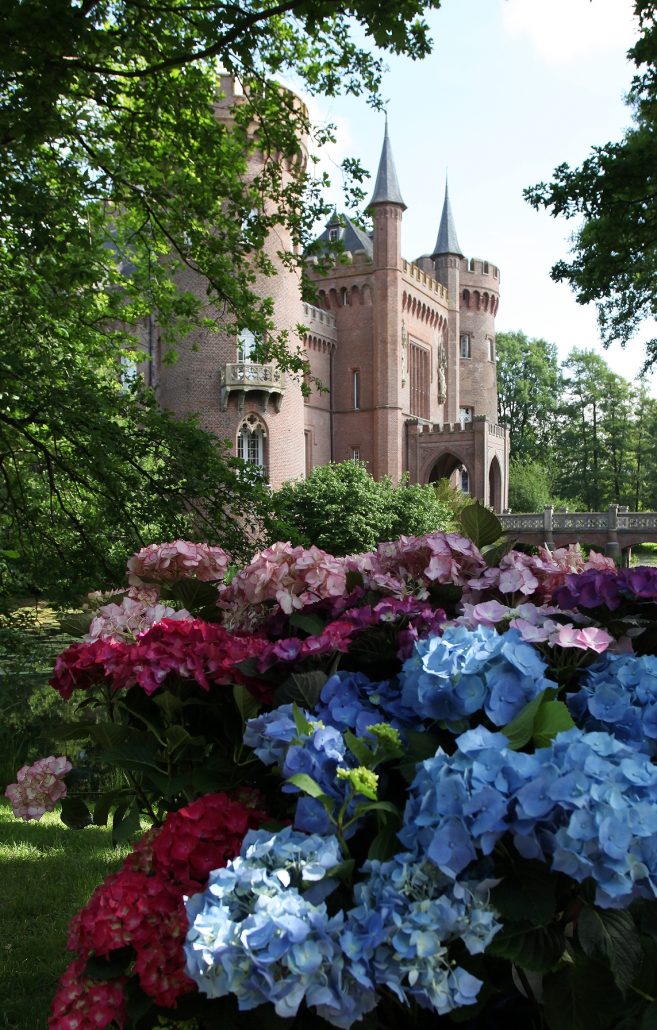 Hortensien und Schloss Moyland von Südwesten