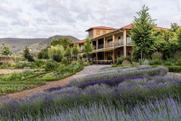 Lavendel- Der Kräutergarten Klostermühle liegt in einer idyllischen Weinbergregion in Rheinland-Pfalz. Foto: GPP. - 